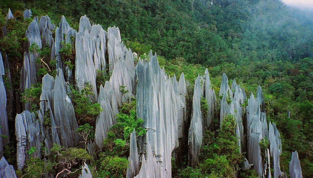 Mejor época para viajar a Borneo